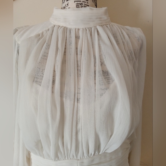 A Loves A Chiffon Feather Trim Ruched Mock Neck Long Sleeve Fit and Flare Dress - Picture 6 of 12